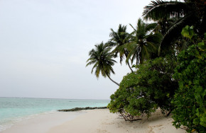 Coco Dive Biyadhoo