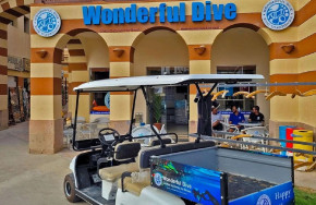 Wonderful Dive Port Ghalib