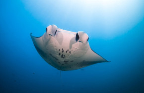 Six Senses Laamu Diving Center