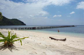 Selayar Dive Resort - Tauchbasis